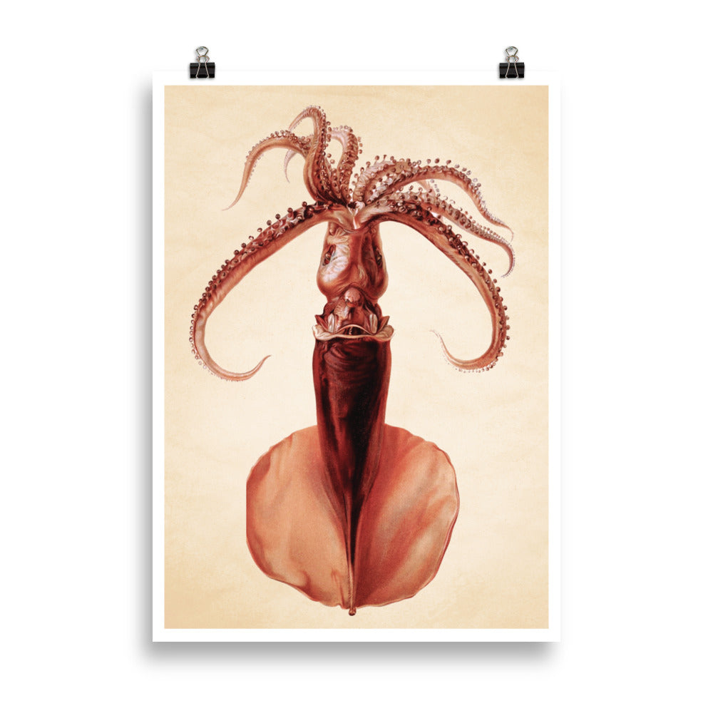 Tintenfisch Illustration Poster reetro - feel the retro