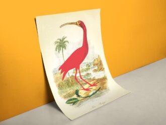 Roter Ibis Poster - Retro Wandbild