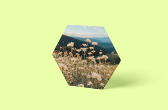 Blumenwiese Alpen Hexagon Wandbild